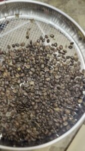 ザルに空けた焙煎後のコーヒー豆